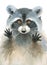 Cute Raccoon Wild Animal Illustration Hand Painted