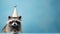 Cute racoon with a party hat curiously looking at camera