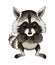 Cute racoon vector icon on white background. Woodland animal clipart