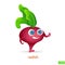 Cute radish vegetables character cartoon