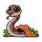 Cute rattlesnake cartoon out from hole