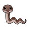 Cute rattlesnake cartoon on white background