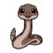 Cute rattlesnake cartoon on white background