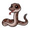 Cute rattlesnake cartoon on white background