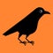 Cute raven bird. Cartoon crow. Kawaii vector illustration on orange background. Halloween party