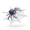 Cute realistic black spider spins web on white background