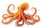 cute realistic cartoon orange octopus on white background