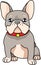 Cute realistic french bulldog with bright red collar template. Cartoon colorful pet vector illustration