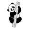 Cute realistic panda bear climbing tree. Vector monochrome illustration isolated on white.