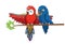 Cute Red and Blue Macaw Cute Illustration