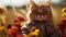 cute red cat in a funny outfit and sunglasses. . AI Generated
