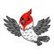 Cute red crested cardinal bird cartoon