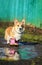 Cute red dog puppy Corgi walks through puddles in the village in funny rubber boots after a warm rain
