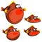 Cute red fish ball, four emotions, isolated images