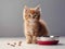 Cute red fluffy kitten sitting near the bowl of pet food. Generative AI