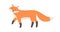 Cute red fox with black paws and fluffy tail. Happy smiling animal character with friendly face. Childish flat cartoon