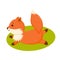 Cute red fox does yoga exercise