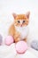 Cute red kitten Cat with pink and grey balls skeins of thread on white bed. vertical