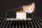 Cute red kitten in mini grand piano