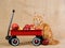 Cute red Maine Coon MC kitten with red wagon
