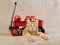 Cute red Maine Coon MC kitten with red wagon