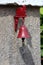 Cute red metal cat and bell decoration used as doorbell mounted on side of house wall at backyard entrance