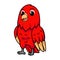 Cute red suffusion lovebird cartoon