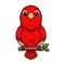 Cute red suffusion lovebird cartoon on tree branch