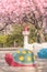 Cute red turtle and blue pig scuptures make a hanami party under