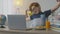 Cute redhead little boy sitting against laptop, video conferencing with teacher, yawning and stretching his body