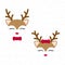 Cute reindeer. Baby deer. Merry Christmas cartoon character. Boy with bow tie and girl with red bow.