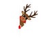 Cute reindeer with sunglasses looks around the corner christmas