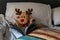 A cute reindeer Teddy bear tucked up in bed on an evening reading a book as a bedtime story