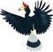 Cute Rhinoceros hornbill vector