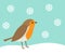 Cute robin bird in winter scenery