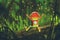 Cute robot playing with fireflies in forest at night