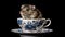 Cute rodent with whiskers eating gourmet meal on saucer generated by AI