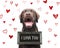 Cute romantic dog says i love you, text on sign board with red h