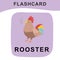 Cute rooster flashcard. Cuter farm animal. Educational printable game cards. Colorful printable flashcard. Vector illustration
