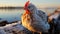 A cute rooster stands in the winter, looking at the camera generated by AI