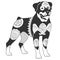 Cute rottweiler dog design