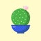 Cute round cactus with pink flower in a blue semicircular pot