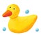 Cute rubber duck