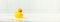 Cute rubber duck on white bathroom countertop with space for text