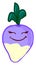 Cute rutabaga, illustration, vector