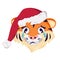 Cute sad tiger character, simbol of New Year in a red Christmas cap. Wild animals of africa with crying and tears