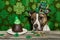 A cute Saint Patrick`s Day Dog.