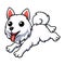 Cute samoyed dog cartoon running