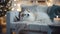 Cute Samoyed dog on sofa in room decorated for Christmas