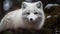 Cute Samoyed puppy sitting in Arctic snow generated by AI